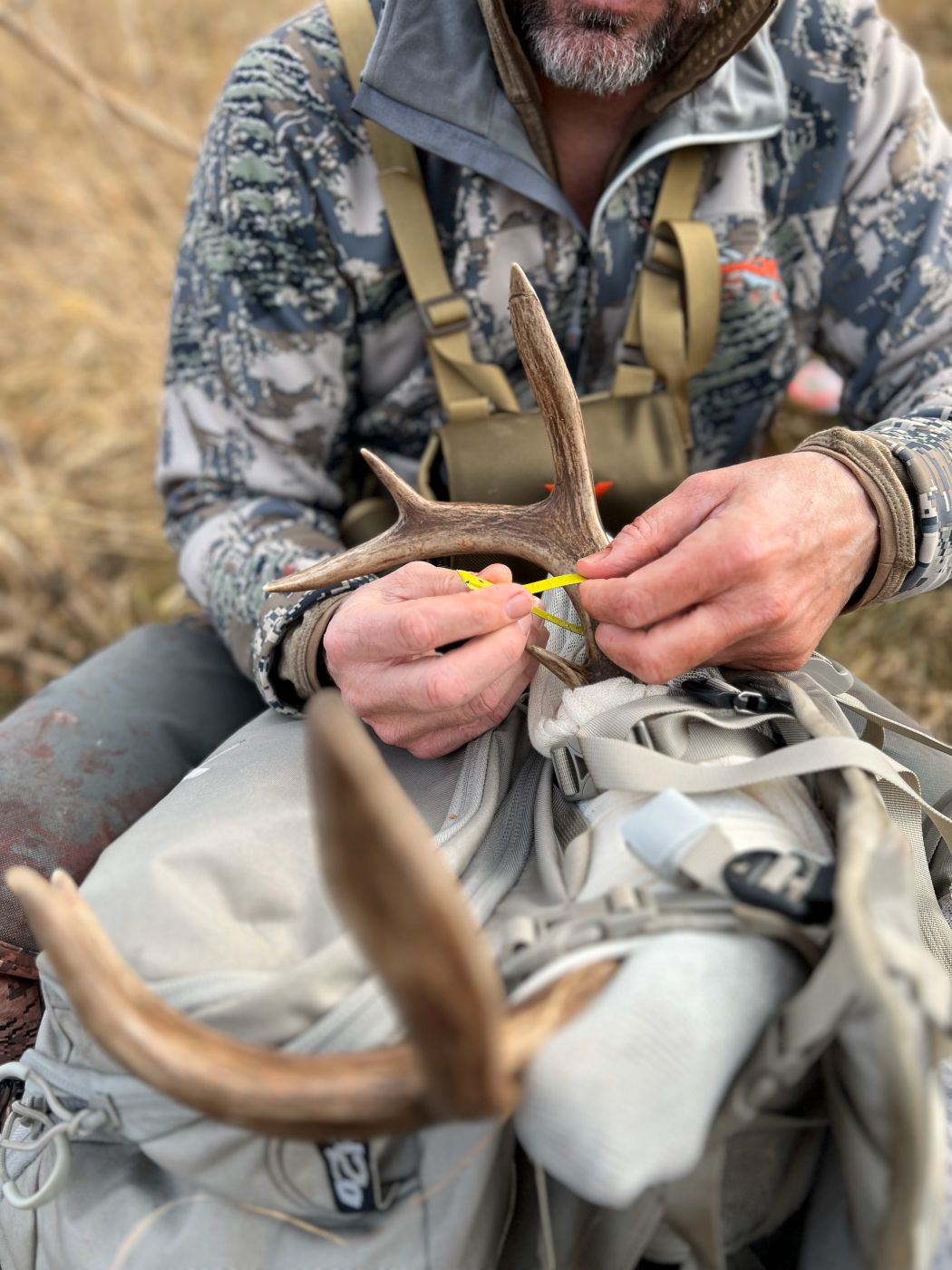 Skipp Knowles Tagging a deer 