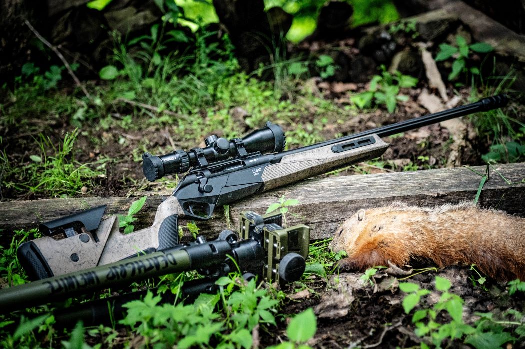 Lupo HPR BOG goundhog