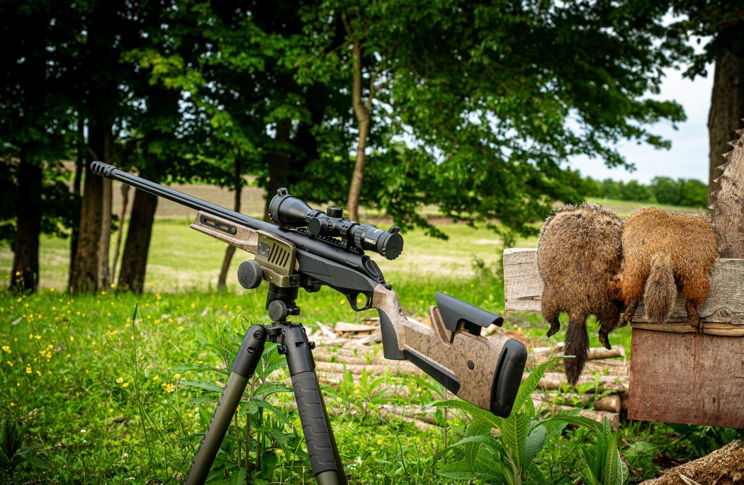 Lupo HPR BOG goundhog
