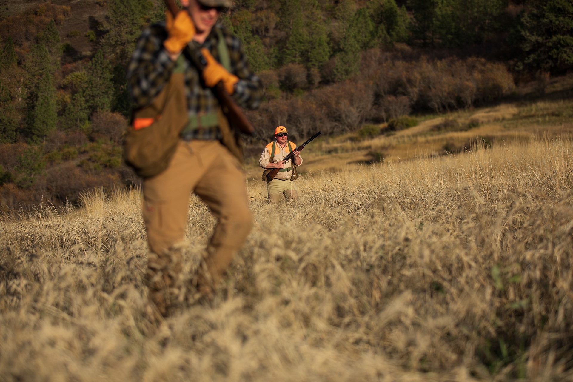 Two hunters in a field walking up hill