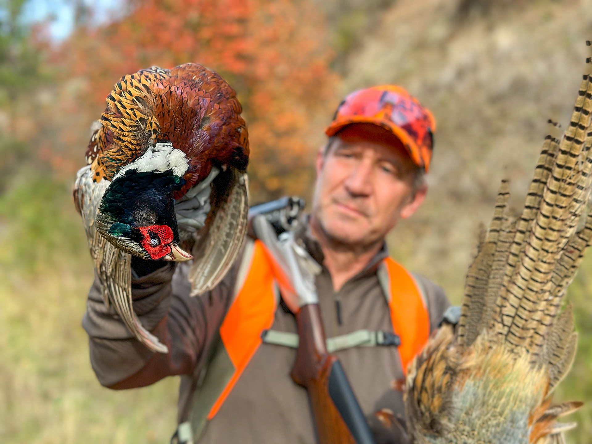 Scott looking at the beauty of the pheasant in hand 