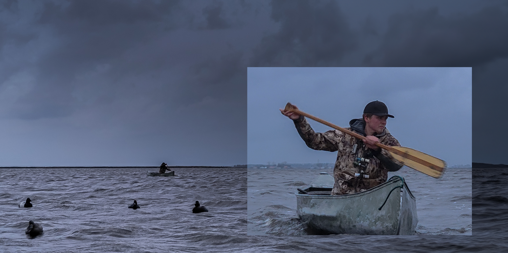 Guide retrieveing ducks in a canoe