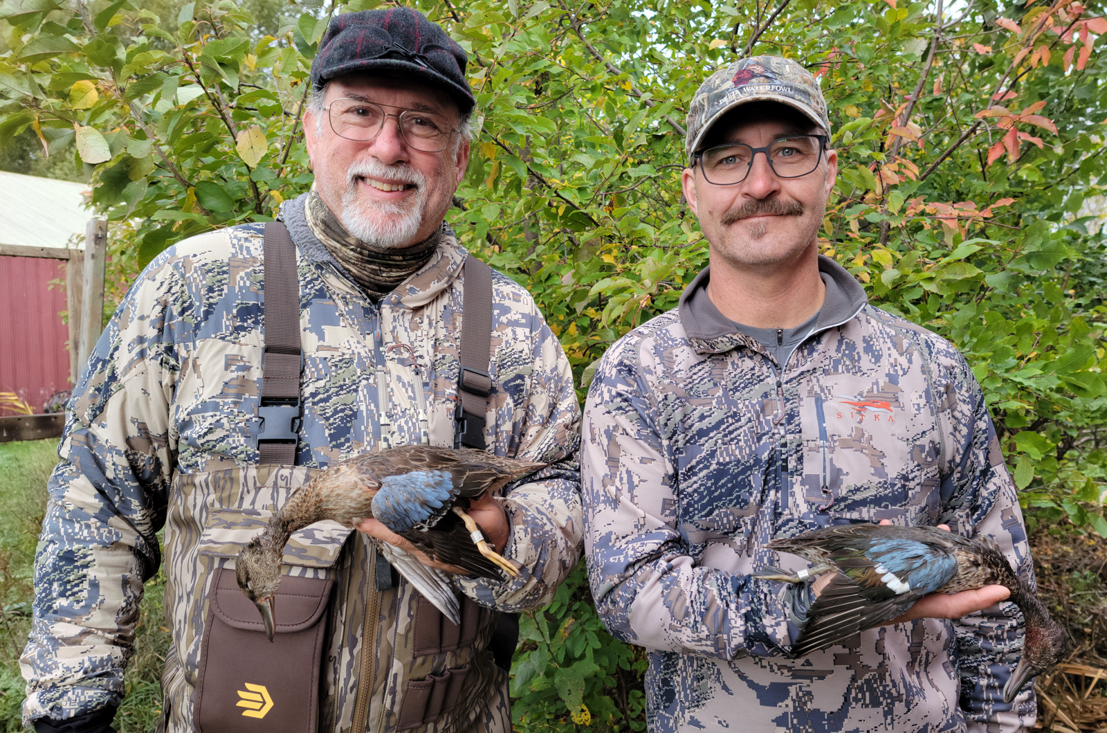 Author and company with blue winged Teal ducks 