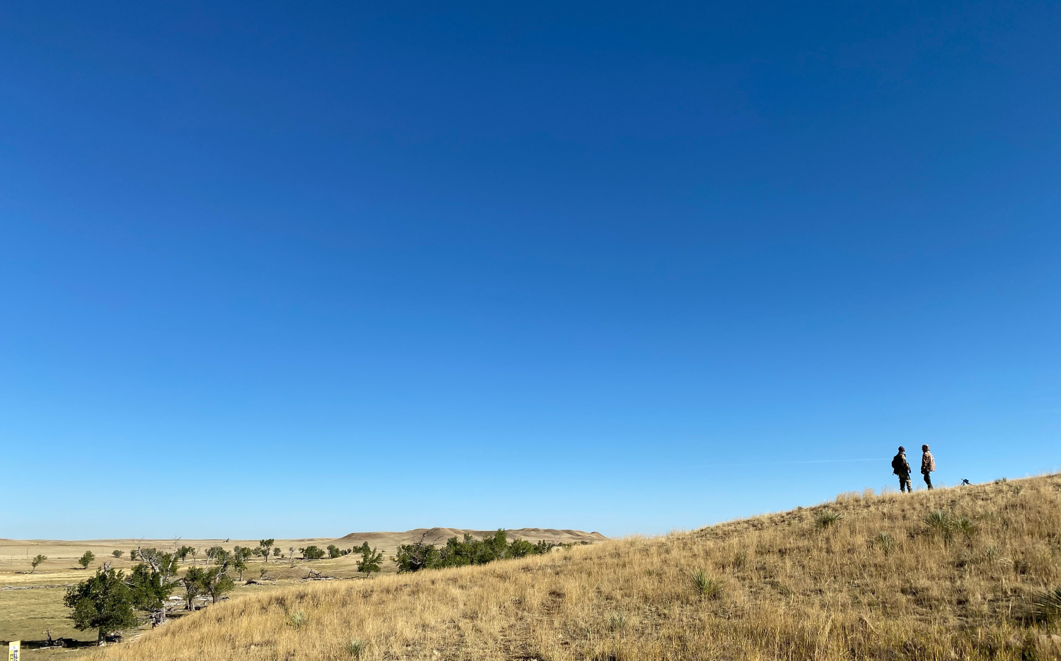 Wyoming public land