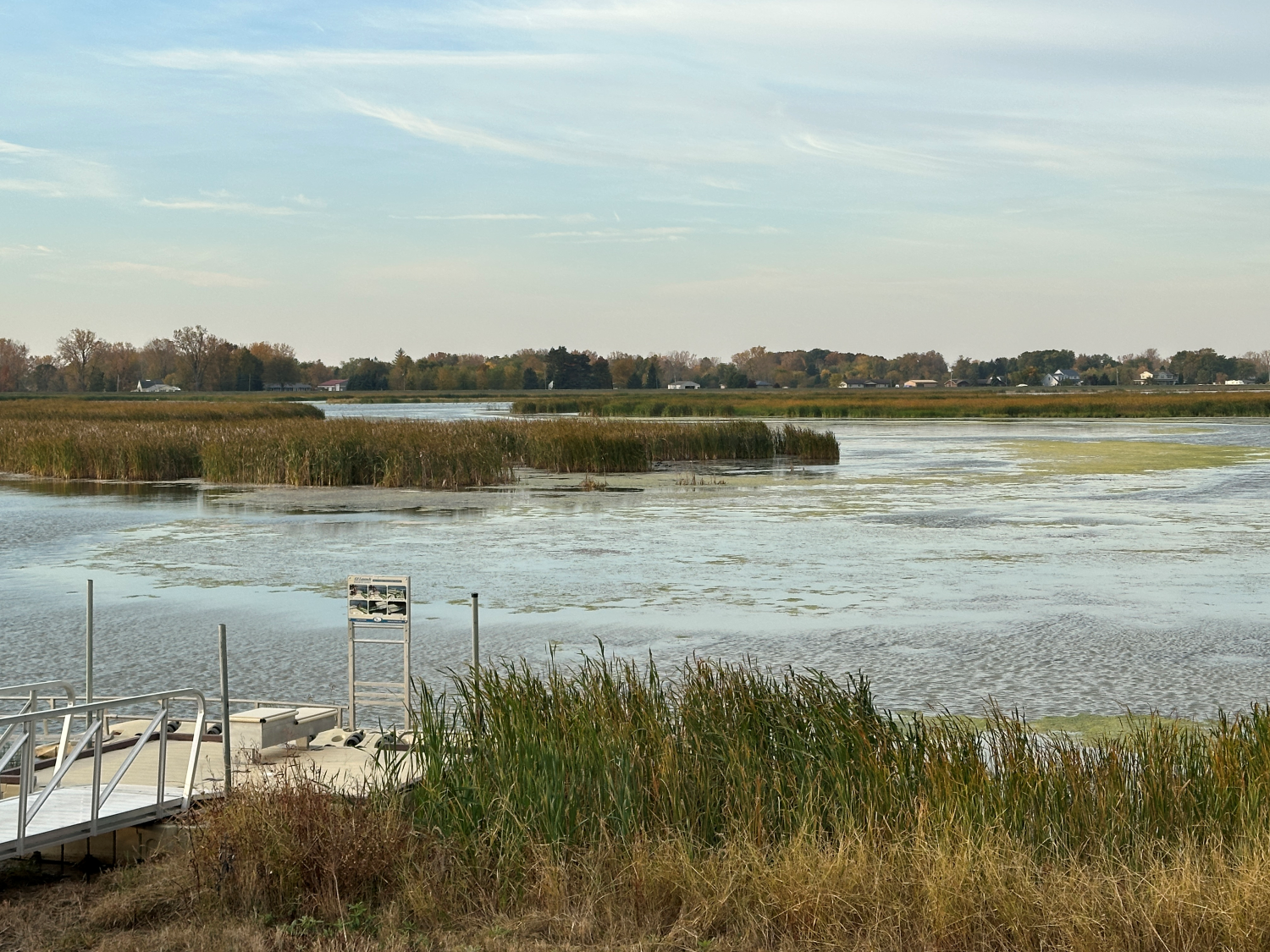 A view of the Howard Marsh dock.