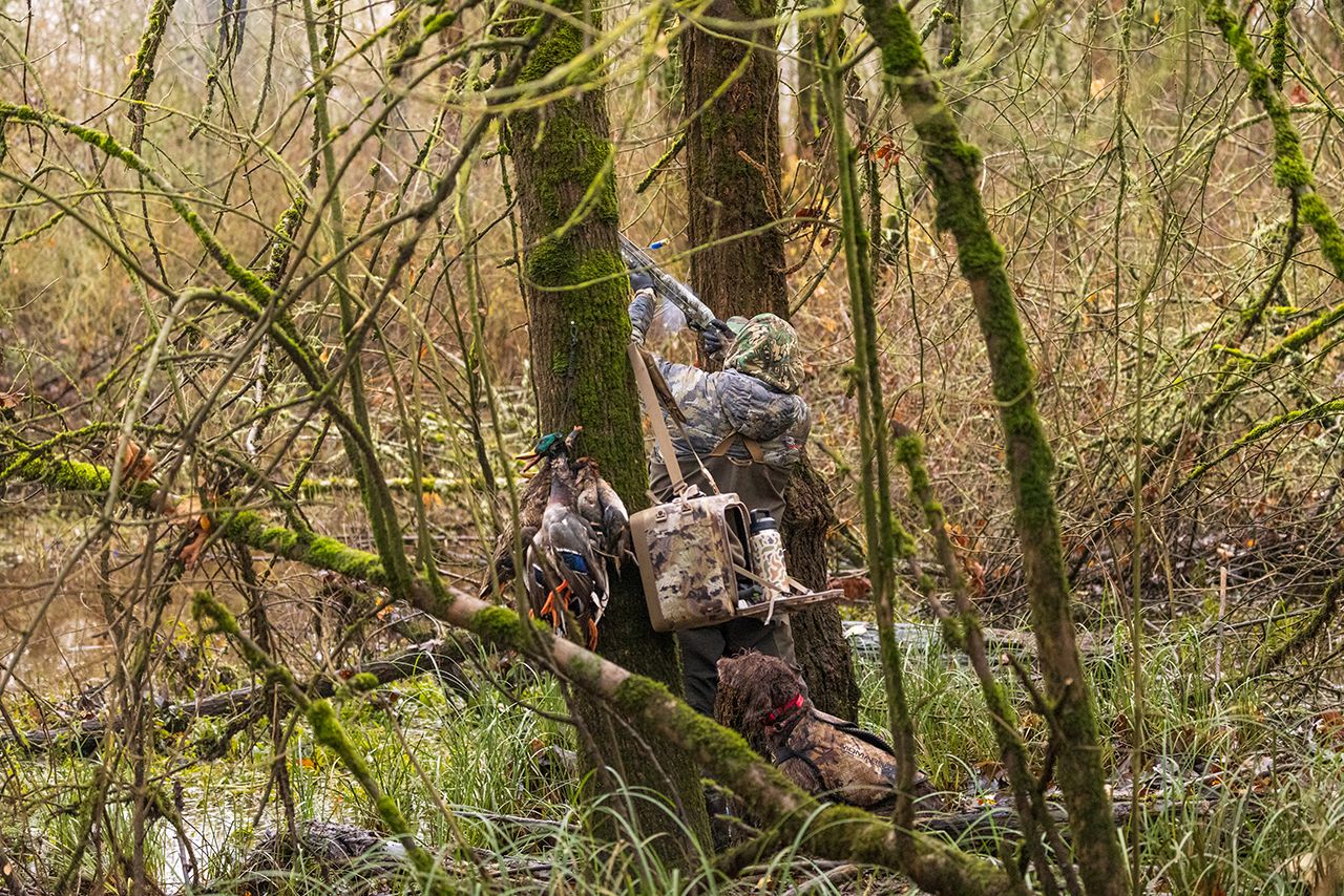 Hunter in flooded timber duck hunting 