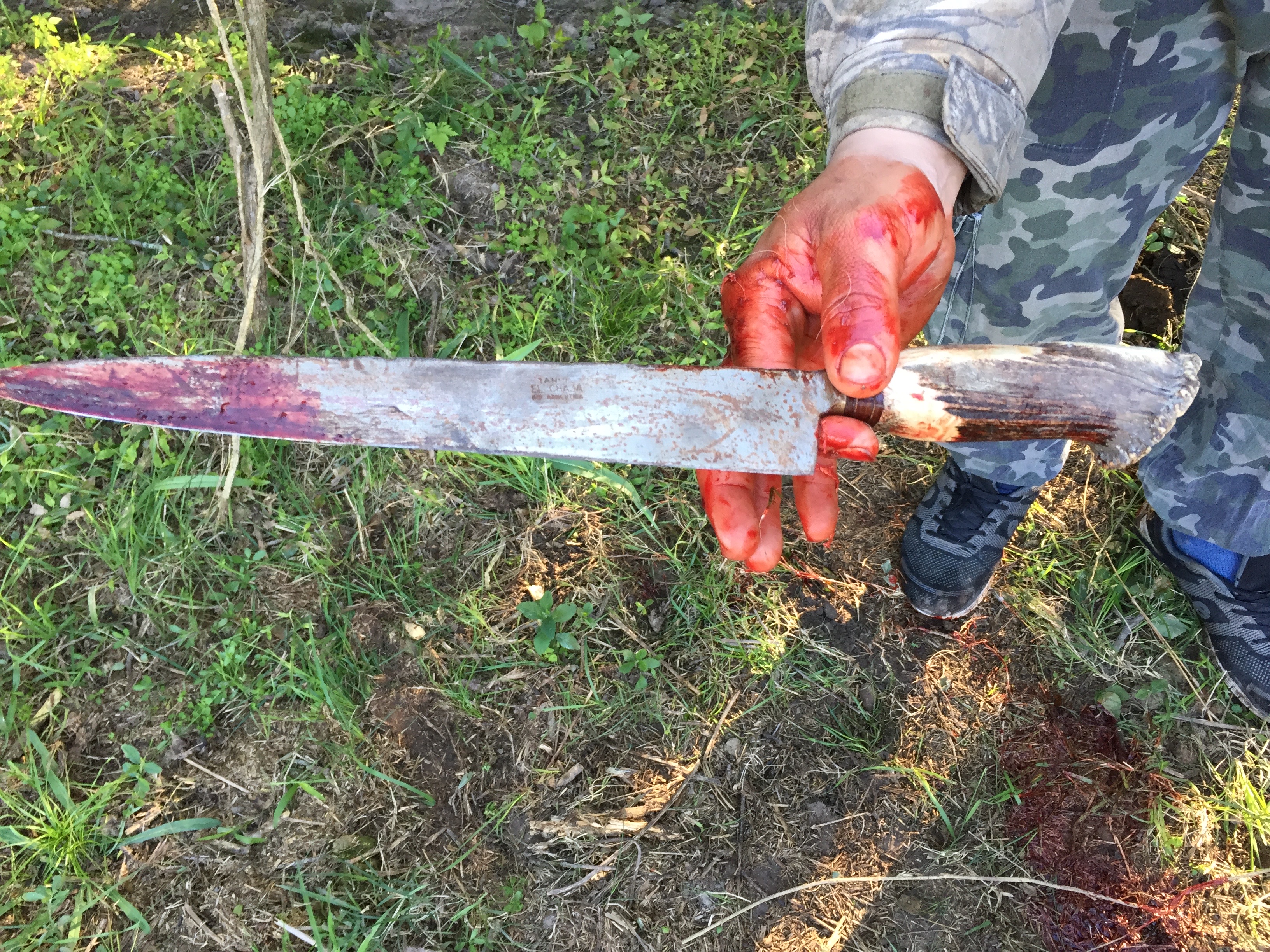 Knife the Guide Used to field dress an animal 