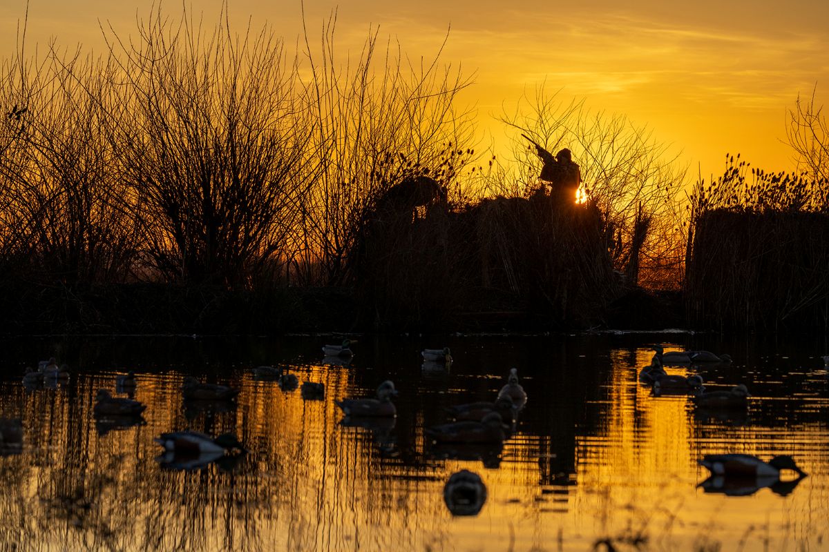 Hunter in the sunset with last light shot 